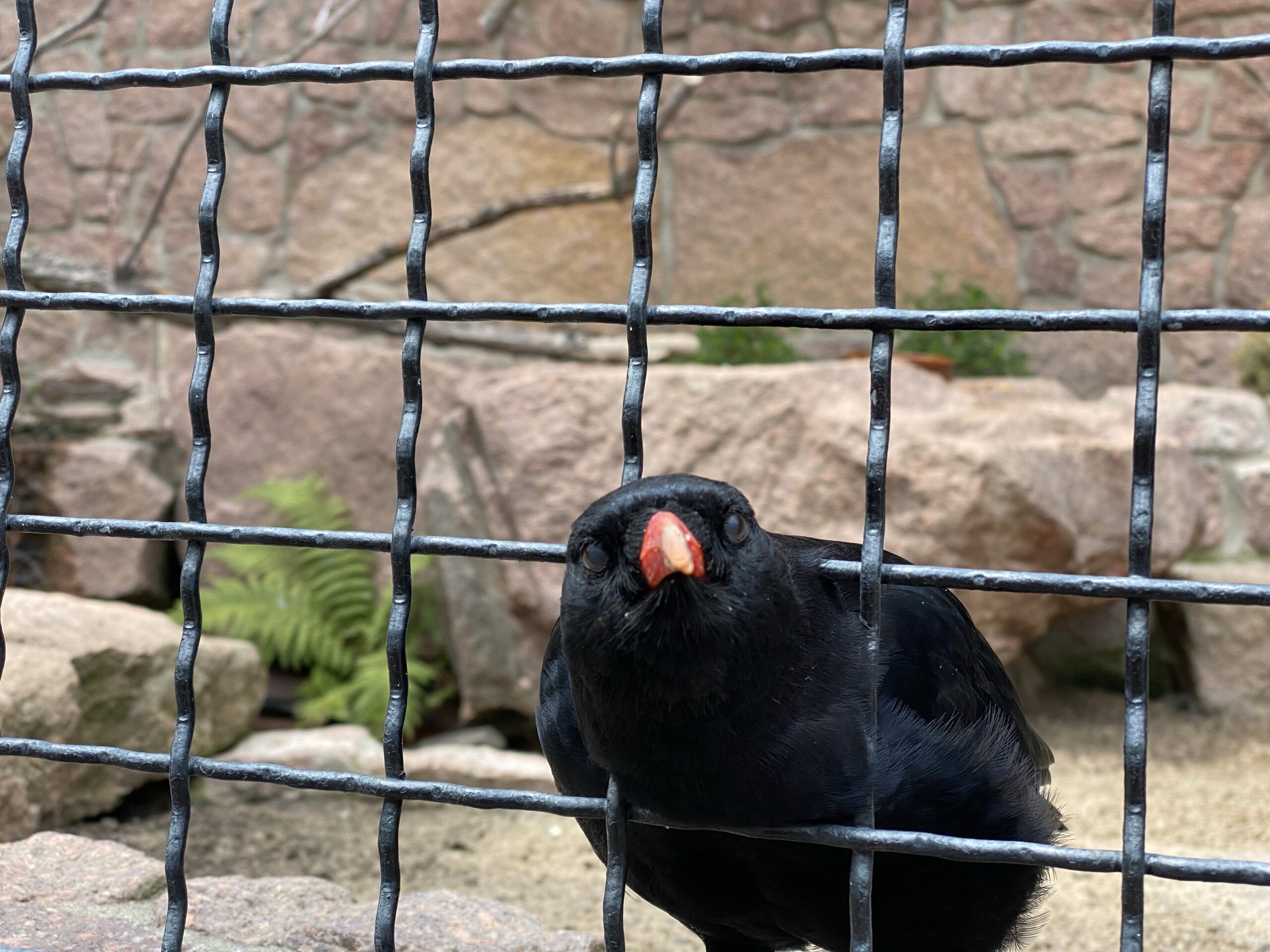 Linear Algebra with numpy - Creatronix