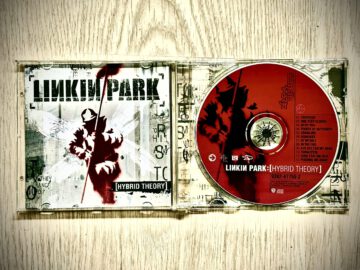 m-shaped-personality-fi